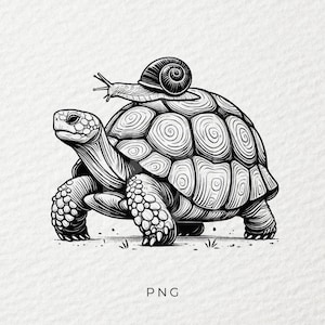 Turtle png, Escargot png, Tortue png, Autocollant png, Sublimation, Tasse png, Tendance png, T-shirt png, DTF, PNG, Transparent, Turtle draw