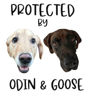 Protected by Dog Bodysuit, Custom Dog Picture, Custom Baby Shower Gift, Custom Dog Breed Onesie®, Personalized Dog Name Baby T-shirt
