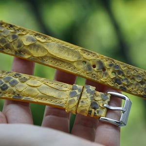 Uhrenarmband aus gelbem Pythonleder 15 mm 16 mm 17 mm 18 mm 19 mm 20 mm 21 mm 22 mm 23 mm 24 mm