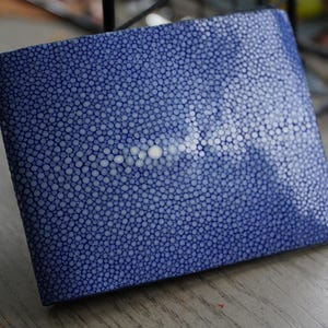 May include: A blue wallet with a distinctive texture, covered in a pattern of small, closely spaced white dots. The rectangular wallet appears to be made of a durable material. The design is simple and elegant.