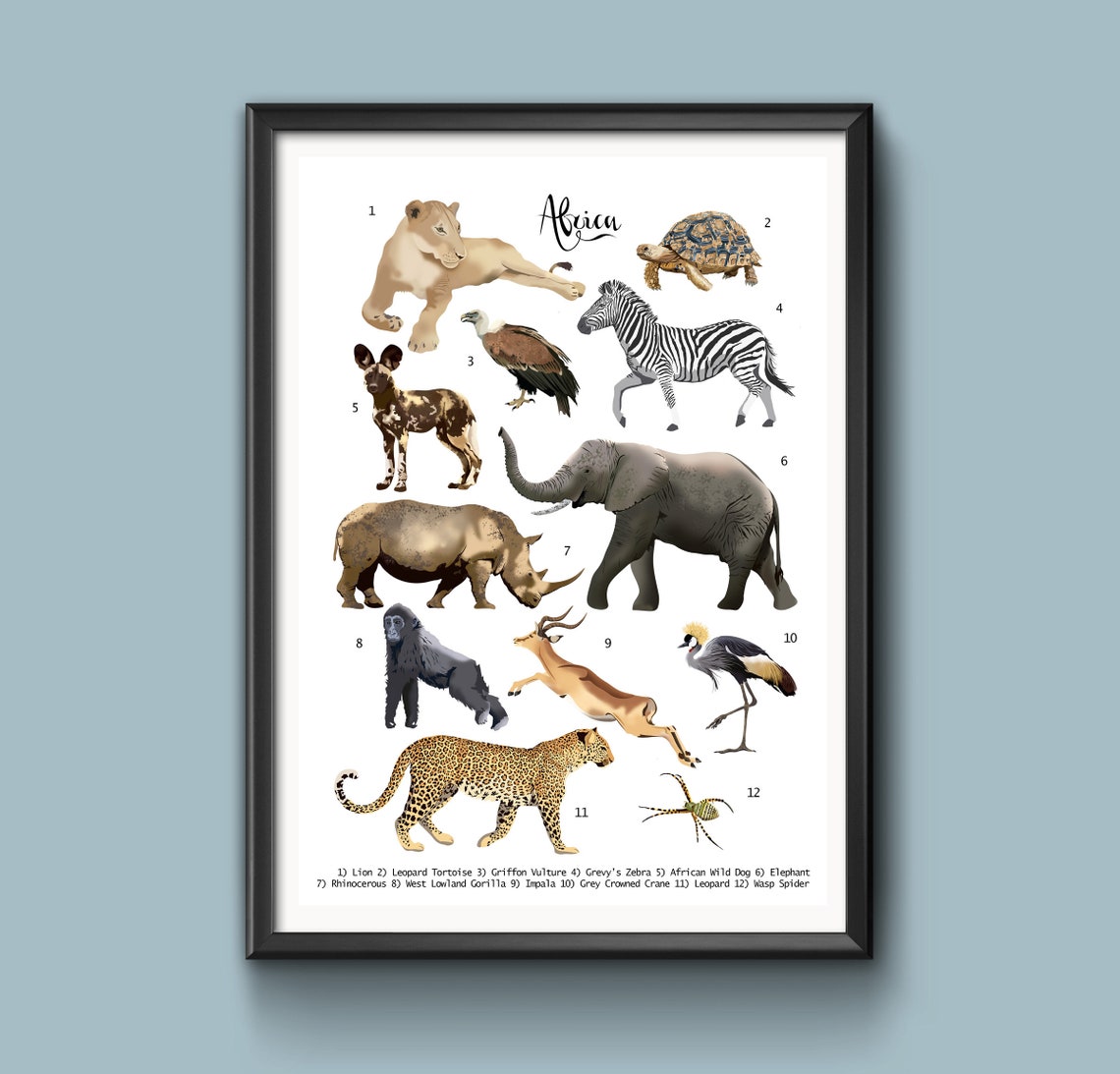 African Animals Animal Poster Animals of Africa Wall Art | Etsy