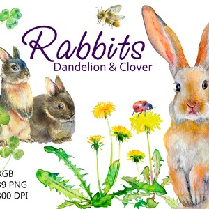 Aquarelle Bunny clipart. Clover & Dandelions clipart. Ginger Rabbit.White Rabbit.Bumblebee, abeille, coccinelle, fourmi.