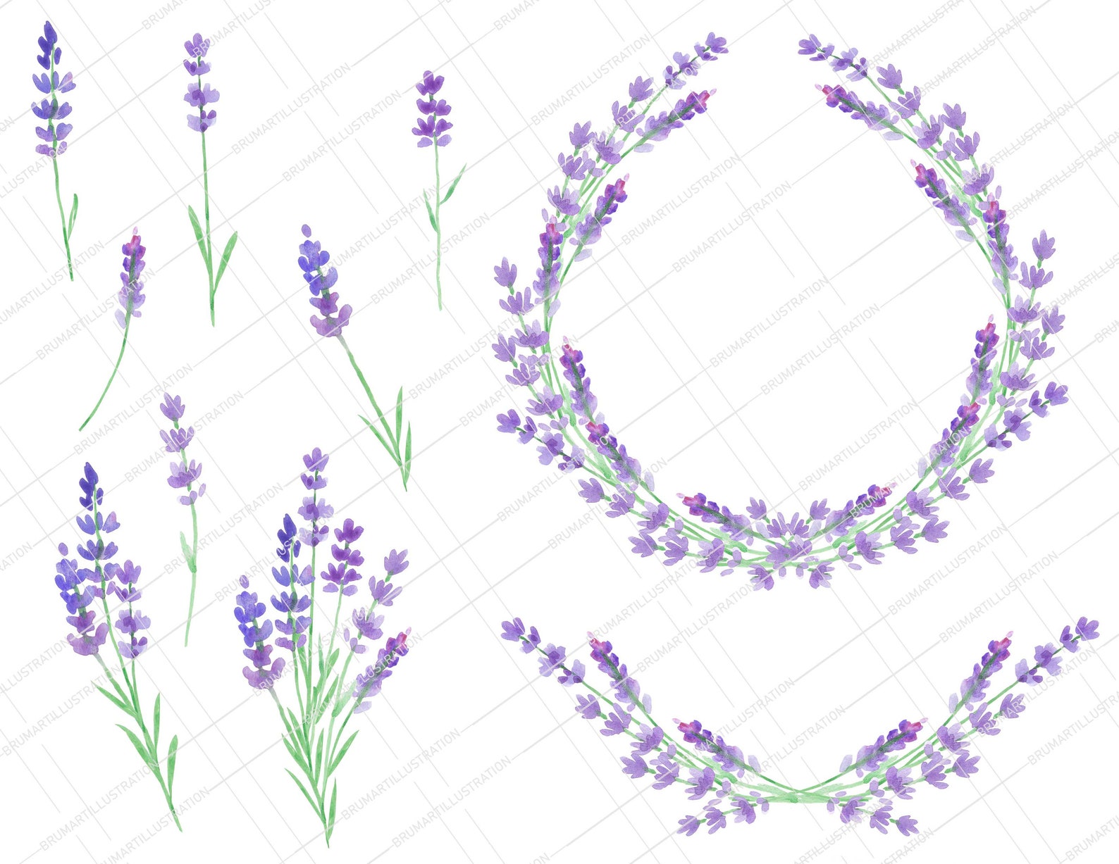 Lavender Clipart.lavender Bouquet.lavender Frame.watercolor - Etsy