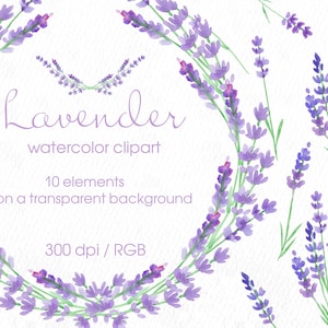 Lavendel Clipart.Lavendel Bouquet. Lavendel Rahmen.Aquarell Clipart Lavendel.Feolet Blumen.Hochzeit Clipart