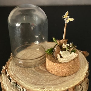 Miniature Butterfly Glass Cloche