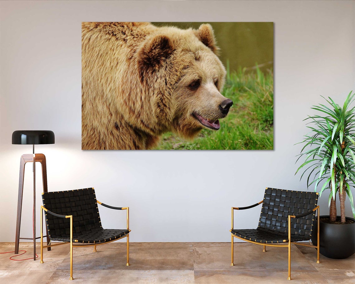 Brown Bear Large Decor For Living Room Bear Grizzly Photo Etsy