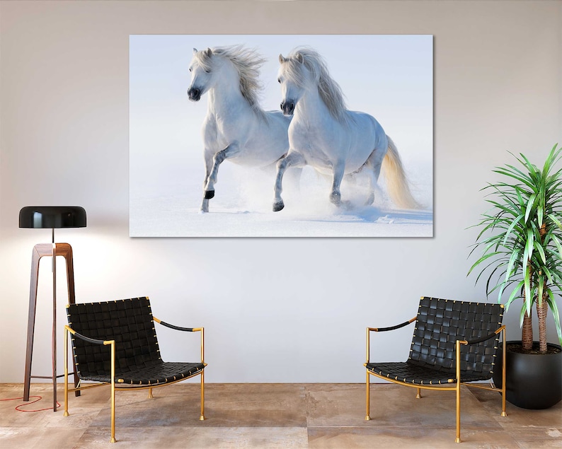 May include: Two white horses running through a snowy field. The horses are running side by side, with their manes flowing in the wind.