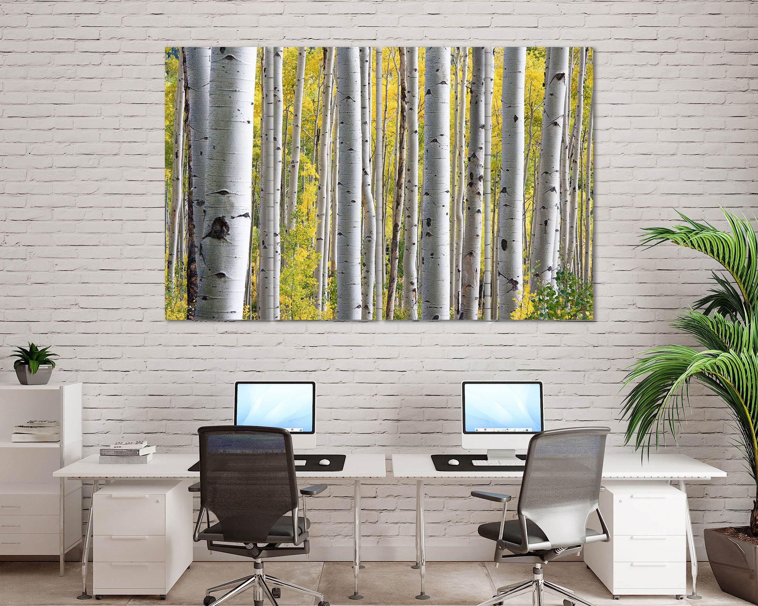 Birch Grove in the Forest Birch Grove Wall Art Birch Grove Print on Canvas Very Large Canvas With Birch Grove Wall Art Gift for Housewarming