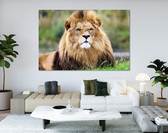 African Lion Photography Print – King of the Jungle Portrait