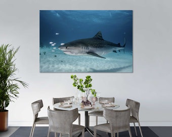 Underwater Shark Photography Print – Glossy Cotton Canvas Wall Art