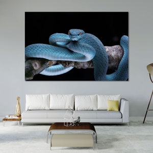 Peut inclure: Impression sur toile représentant un serpent bleu vif enroulé autour d'une branche, sur fond noir. Les écailles du serpent sont détaillées et ses yeux sont d'un orange saisissant. L'œuvre est exposée dans un salon moderne.