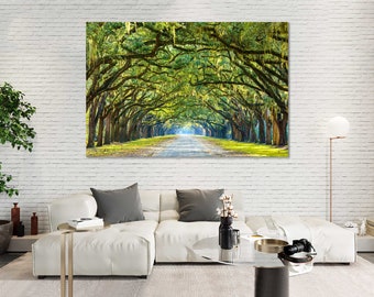 Stunning Line of Oak Trees Along the Road in Savannah Travel Spot in Savannah on Canvas Prints Green Oak Trees in Georgia State