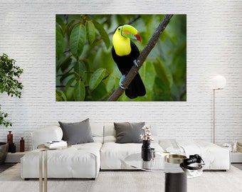Canvasprint van een toekan – Kleurrijke muurdecoratie met tropische vogel