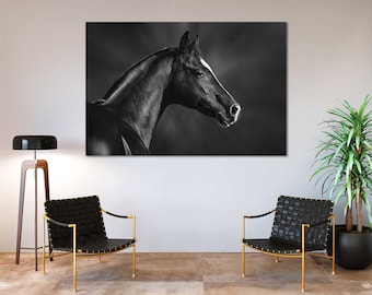 Black Horse Photography Print – Equestrian Fine Art Canvas