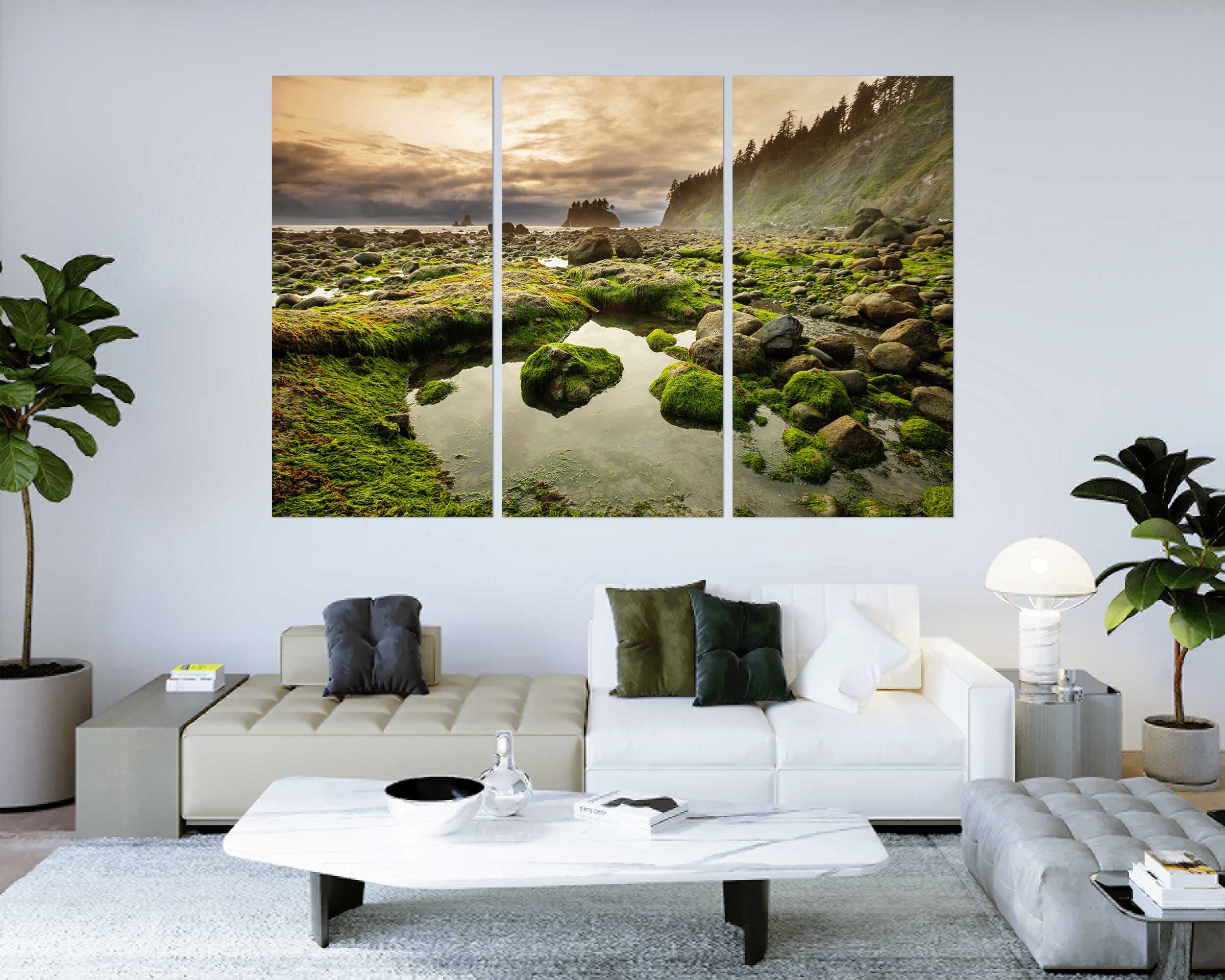 Olympic National Park Awesome Landscapes Wall Art Olympic National Park Print on Canvas Olympic National Park Design Decor Home Washington