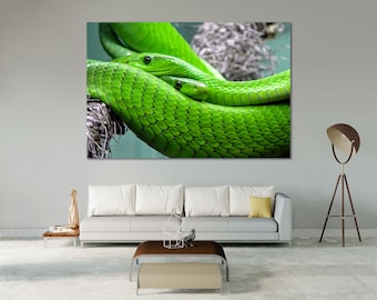 Grüne Schlangen Leinwanddruck - Exotisches Reptil Fotografie, Dschungel Fotografie