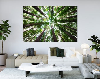 May include: A large canvas print depicting a view looking up through a forest canopy. Tall, brown tree trunks stretch upwards, their green foliage forming a dense ceiling against a bright sky. The artwork is displayed above a white sofa in a modern living room.