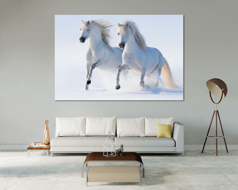 May include: Two white horses running through a snowy field. The horses are running towards the right side of the image. The snow is flying up behind them.