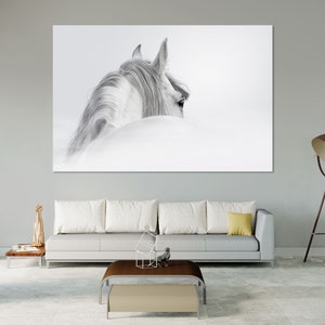 White Horse Wall Art White Horse Canvas Print White Horse Wall Decor Horse Black & White Photography Horse Extra Large Wall Art Horse Print
