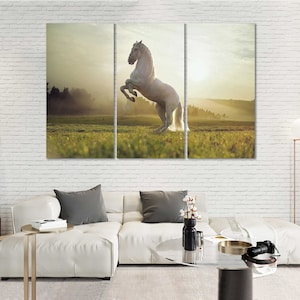 White Horse in Sunlight Printing Art on Canvas White Horse Modern Art for Wall White Horse Large Decor Horse Stylish Pictures Home
