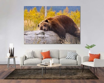 Brown Bear Resting on a Log Original Art Room Bear Photo Print Canvas Bear Modern Painting Decor Bear Design Art Home Bear Pictures for Wall