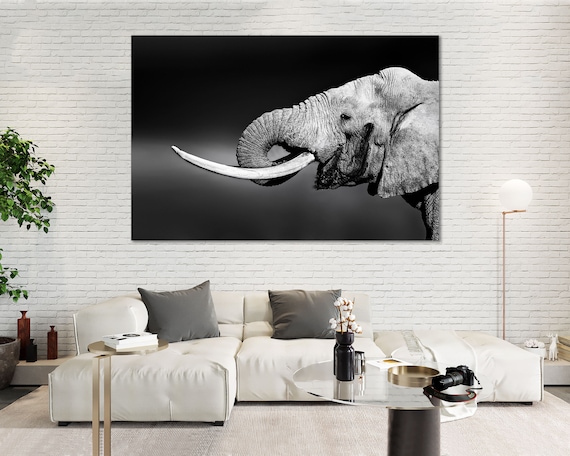 モノクロ象のフォトフレーム