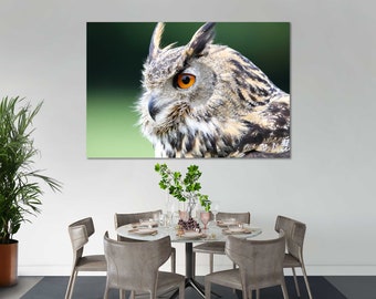 Close-up Owl Canvas Wall Art, Ready-to-Hang Gallery Print