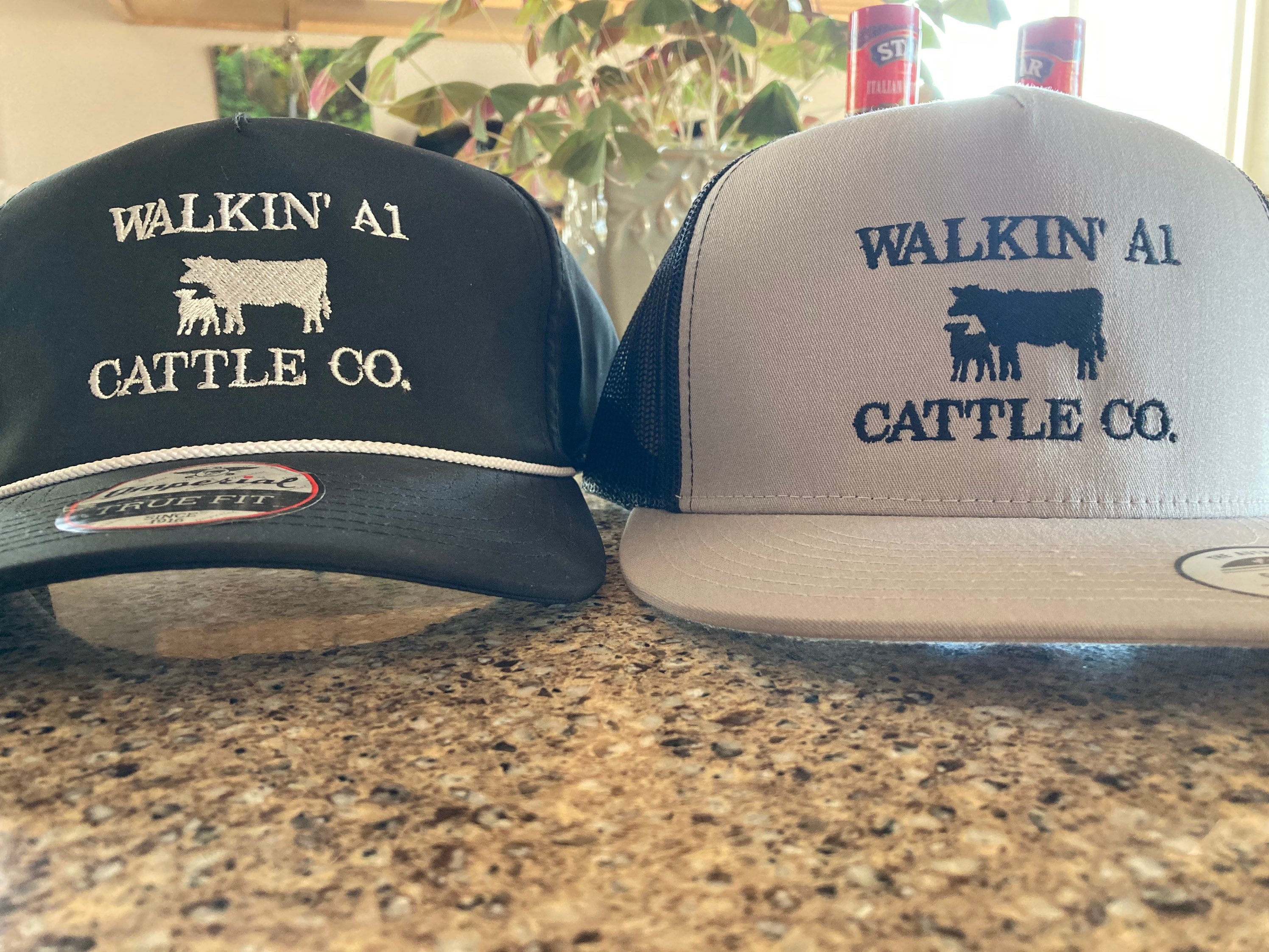 Cattle company hats