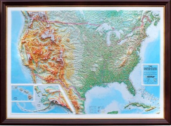 The Skeletal System 3D Raised Relief Chart | 18" X 25" Anatomical Wall Chart, Laminated Plastic