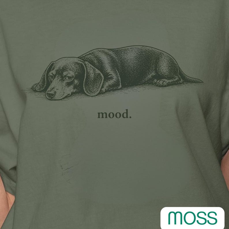 Funny Dachshund Mood Shirt, Wiener Dog Tee, Relatable Dog Shirt, Minimal Dog Lover Gift, Comfort Colors Graphic Tee image 5