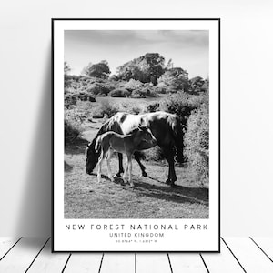 New Forest National Park Kunstdruck Schwarz Weiß New Forest National Park Kunstdruck Minimalistisch New Forest National Park Poster Geschenkdruck
