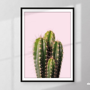 Kaktus Wand Kunst | Kaktus-Druck-| Boho Dekor | Kaktus Poster | Kakteen Kunstdruck | Wüste Wand Kunst | Pflanzendrucke | Kaktus Foto | Pflanze Poster