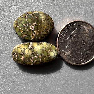 May include: Two polished, oval-shaped gemstones with a mottled green and brown pattern. A U.S. dime is next to the stones for size comparison. The gemstones have a unique, organic appearance, suggesting they are natural materials.