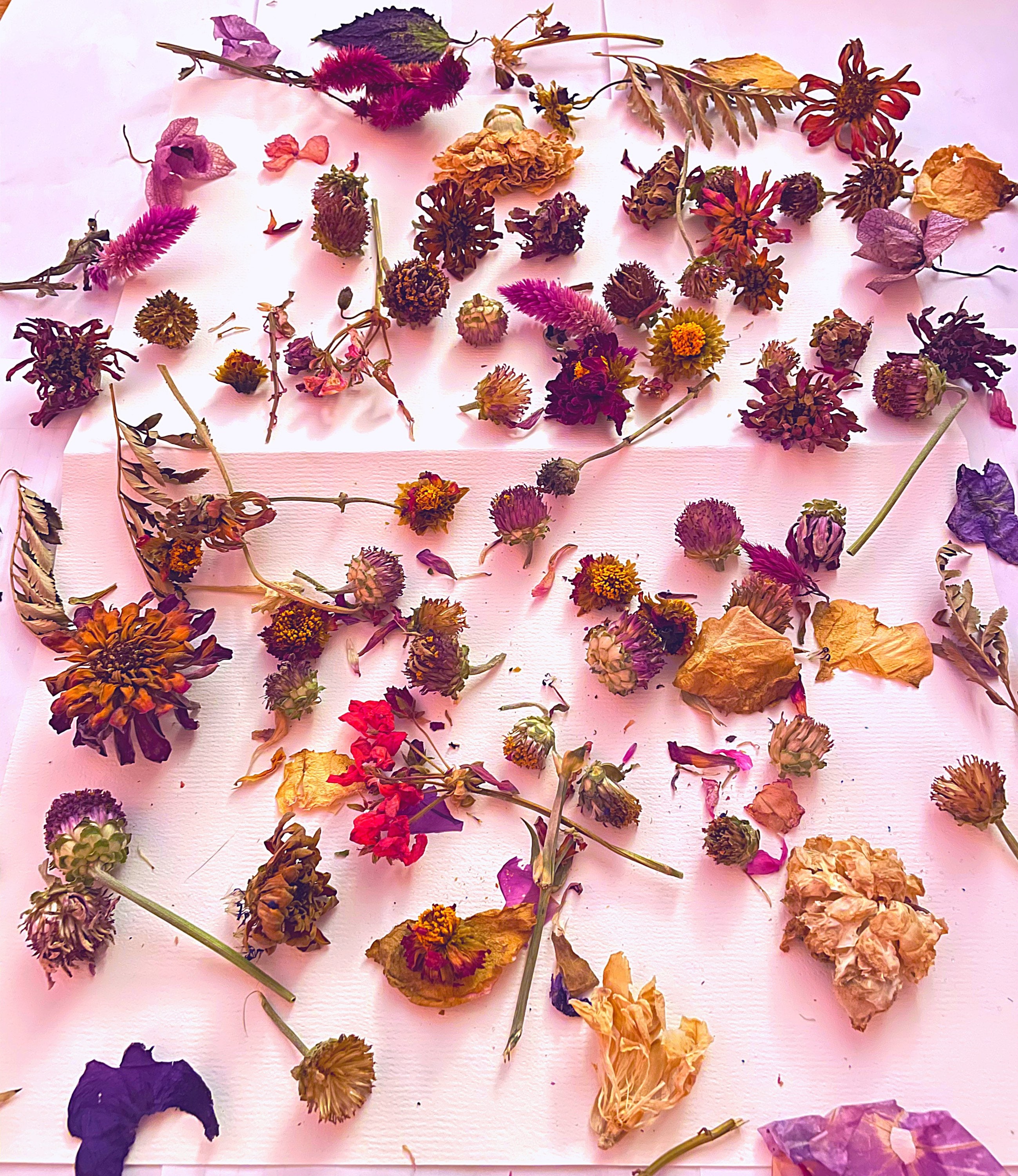 Tiny Dried Flowers Dried Flower Pieces 20 Flowers Wedding Resin Art