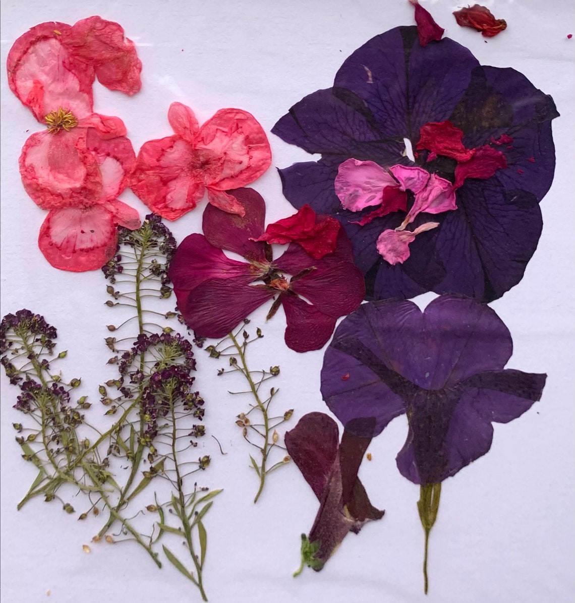 Dried Flower Petals Resin Art Floral Jewelry Soap Etsy