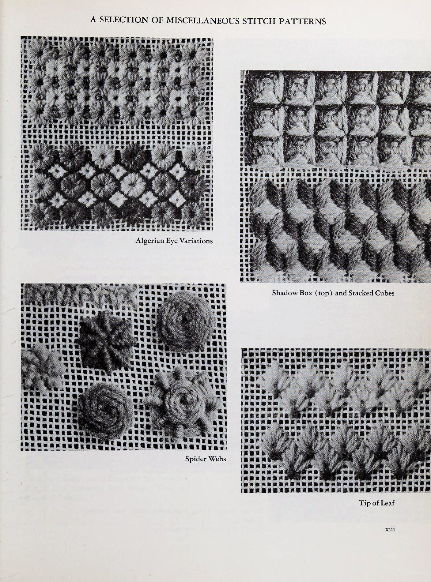 Vintage 170 Embroidery Stitch Patterns Canvas Stitches the Encyclopedia