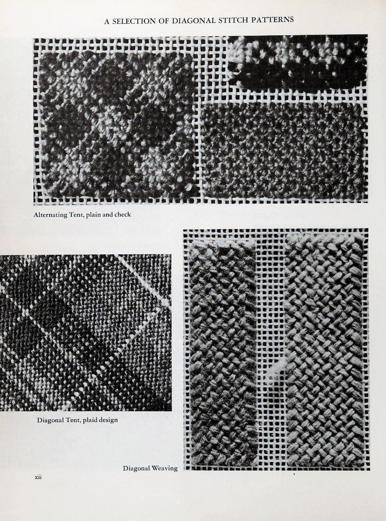 Vintage 170 Embroidery Stitch Patterns Canvas Stitches the Encyclopedia