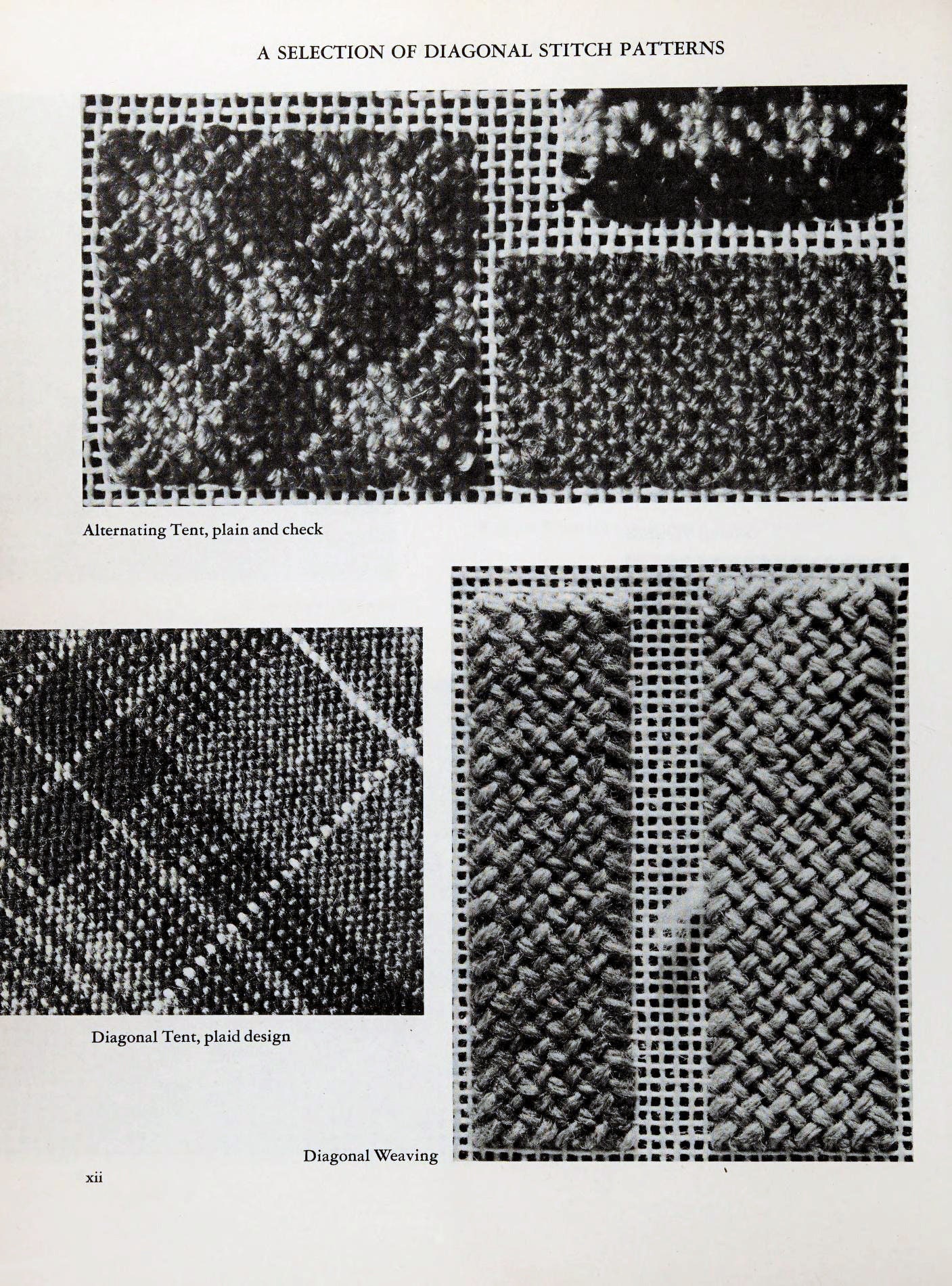 Vintage 170 Embroidery Stitch Patterns Canvas Stitches the Encyclopedia