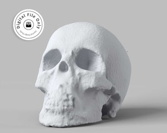 Skull 3D Model | Skull Statue STL 3D print model |  Skull Model | Medical 3D model | Digital 3D Model |  Resin Model | Free Shipping
