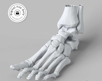 Talus | Bone | Medical | Talus Model | Bone Model |  Talus 3D Model |  Talus STL 3D print model | Talus 3D Print |  Free shipping