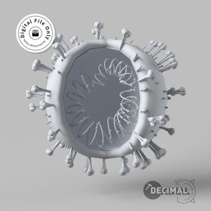 May include: A 3D model of a virus, rendered in a light gray color. The model is cut open to reveal the internal structure, including a spiral-shaped element. The image includes the text "Digital File Only" and the Decimal Design Studio logo.