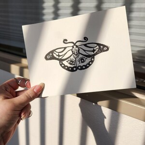 All Seeing Moth