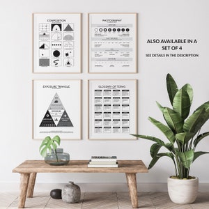 May include: Four black and white photography posters with information about composition, photography, exposure triangle, and glossary of terms. The posters are framed and hanging on a white wall. A potted plant is in the lower right corner of the image.