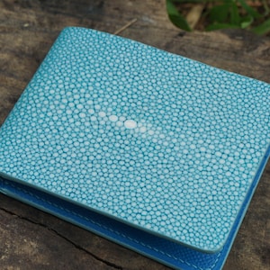 Cartera de piel de raya turquesa. Cartera de piel azul para mujer/Cartera de raya azul.