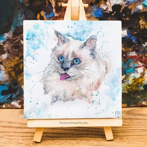 Divertente dipinto ad acquerello originale di gatto ragdoll, arte dipinta a mano di gatto sorpreso, piccola opera d'arte di animale domestico pazzo, commissione di ritratto di animale domestico carino personalizzato
