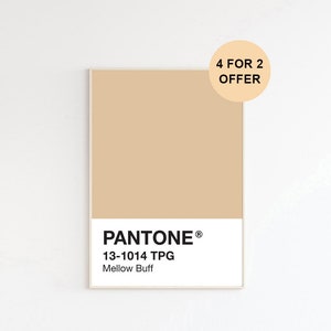 Pantone Kunstdruck Kupfer Tan Affiche Pastell Poster Etsy