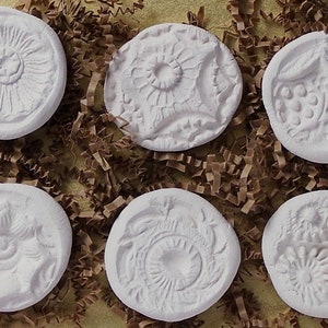 MOLDES DE ARCILLA SPRIG Moldes de prensa de arcilla de gres hechos a mano, cocidos en horno, juego de 6, texturas florales de #cmft, diseñados y elaborados por Sandi Obertin