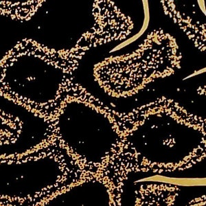 Könnte beinhalten: Abstraktes Muster mit schwarzem Hintergrund und goldfarbenen Wirbeln und Punkten.