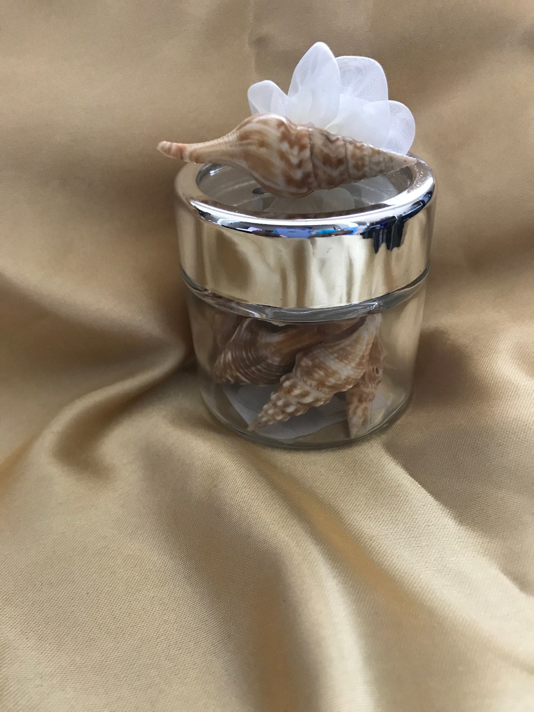 Seashell in Bottle Party Favor Arrangement Set of 4 - Etsy