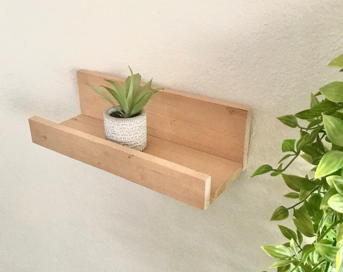 Small Floating Shelf With Ledge / Simple Shelf / Hanging Shelf / Boho